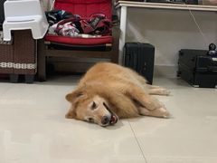 -乐凯撒披萨(东方新世界店)