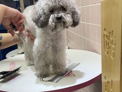 -FAELING PETS美天灵宠物(富力广场店)