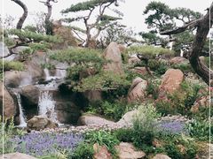 -罗红摄影艺术馆