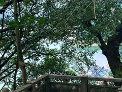 -严子陵钓台(富春江小三峡)