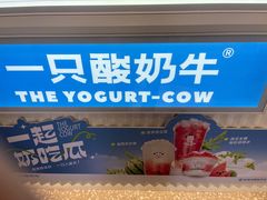-一只酸奶牛(春熙路店)