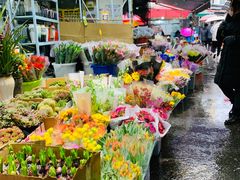 -循礼门鲜花花市(武汉循礼门店)