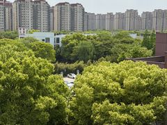-上海市松江区泗泾医院-地面停车场