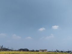 -中国天府农业博览园