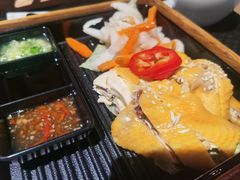 海南功夫鸡饭-大家乐(佛山南海店)