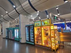 -大望路(地铁站)