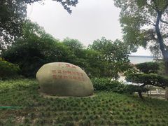 -桂湖森林公园