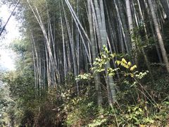 -溧阳天目湖天沐温泉