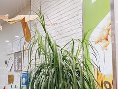 -813芭依珊 BAESAn(皇冠十畝地店)