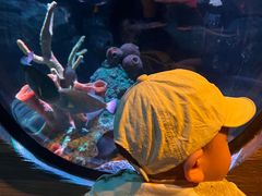 -沈阳海洋探索中心