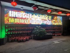 -桃园农庄烤全羊(江秋路店)