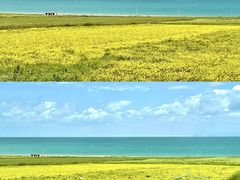 -青海湖国家重点风景名胜区