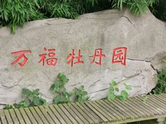 -合肥三国新城遗址公园