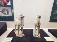 -安阳博物馆