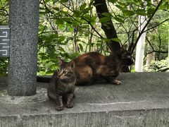 -白云山风景名胜区