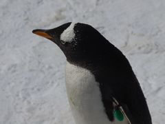 -大连老虎滩海洋公园