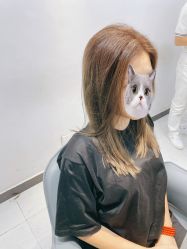 -飞梵造型