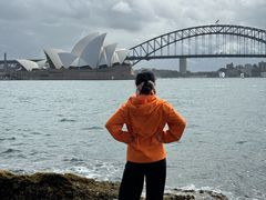 -麦考利夫人座椅