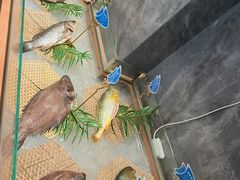 -清真马家馆(振兴街店)