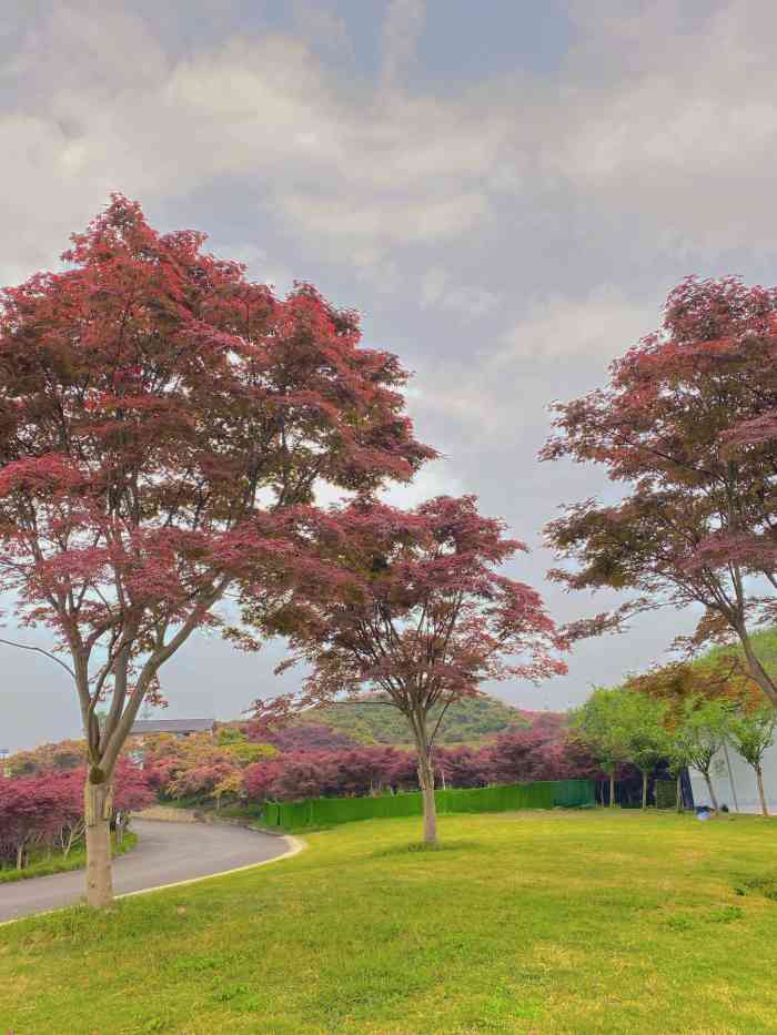 南湖多彩植物园