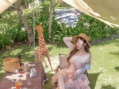 -三亚亚龙湾万豪度假酒店