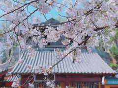 -鸡鸣寺