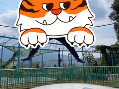 -瓷天下海丝谷