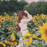 广州周边0元拍照地｜春日里的向日葵花海🌻