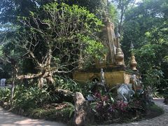 -莫里热带雨林景区