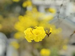 -信行丰炖品皇店(光孝路店)