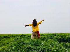 -鄱阳湖国家湿地公园