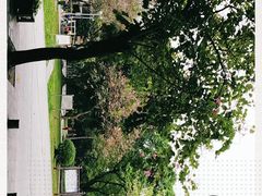 -垂虹公园