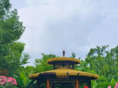 -东湖落雁景区