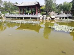 景点-河北省第三届（邢台园博园）园林博览会