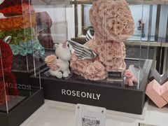 -ROSEONLY诺誓(广州K11店)