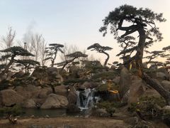 -罗红摄影艺术馆