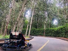 -廊坊市自然公园
