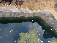 -武汉动物园