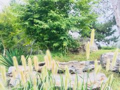 -丰台花园