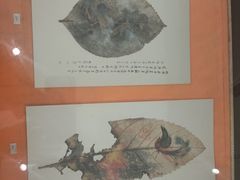 -黎里古镇
