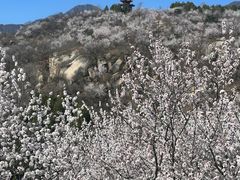 -白水寺森林公园