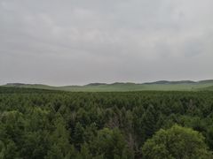 -塞罕坝国家级自然保护区