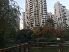 -新湖明珠城
