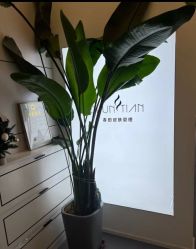 -春田皮肤管理中心品牌旗舰店