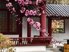 -堤角公园