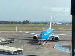 -卡塔尼亚-丰塔纳罗沙机场