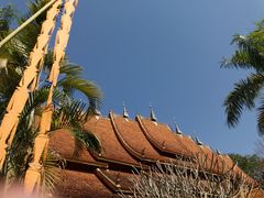 -西双版纳傣族园