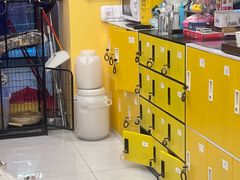 -谜盒子奇幻密室(南屏店)