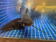 -徐家屯铁锅炖(宋家庄店)