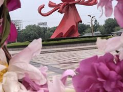 -曹州牡丹园